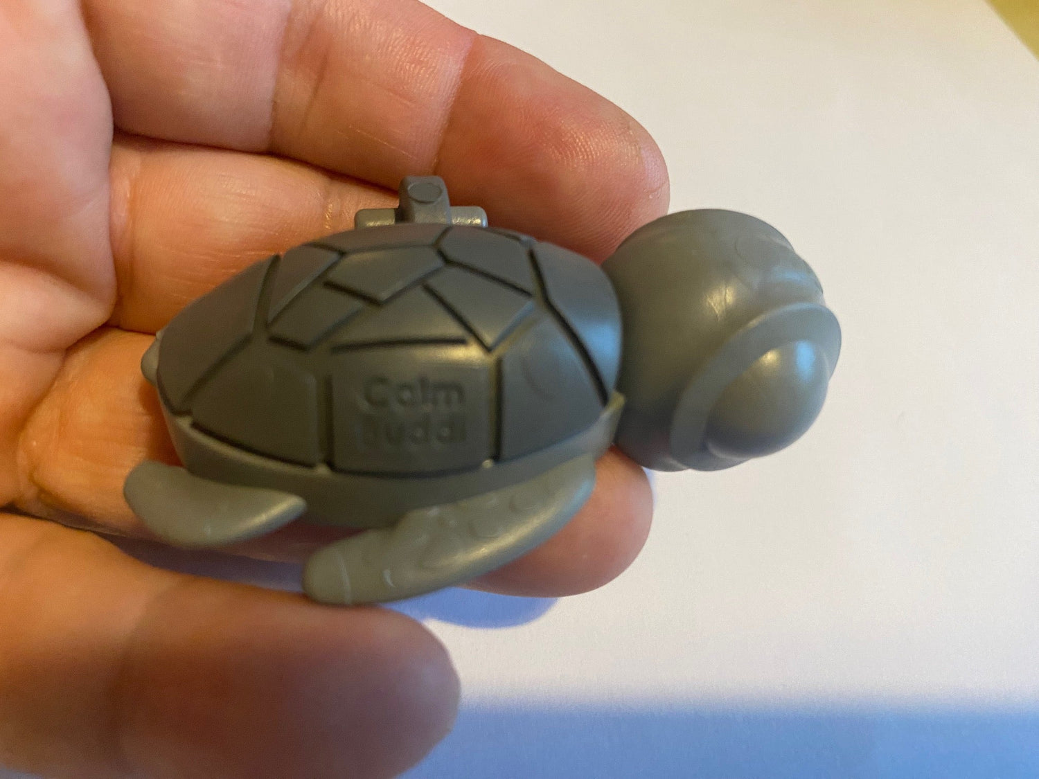 Calm Buddy Turtle