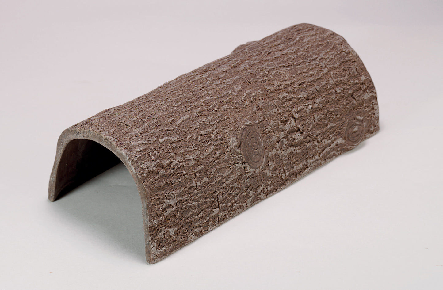Hollow Log