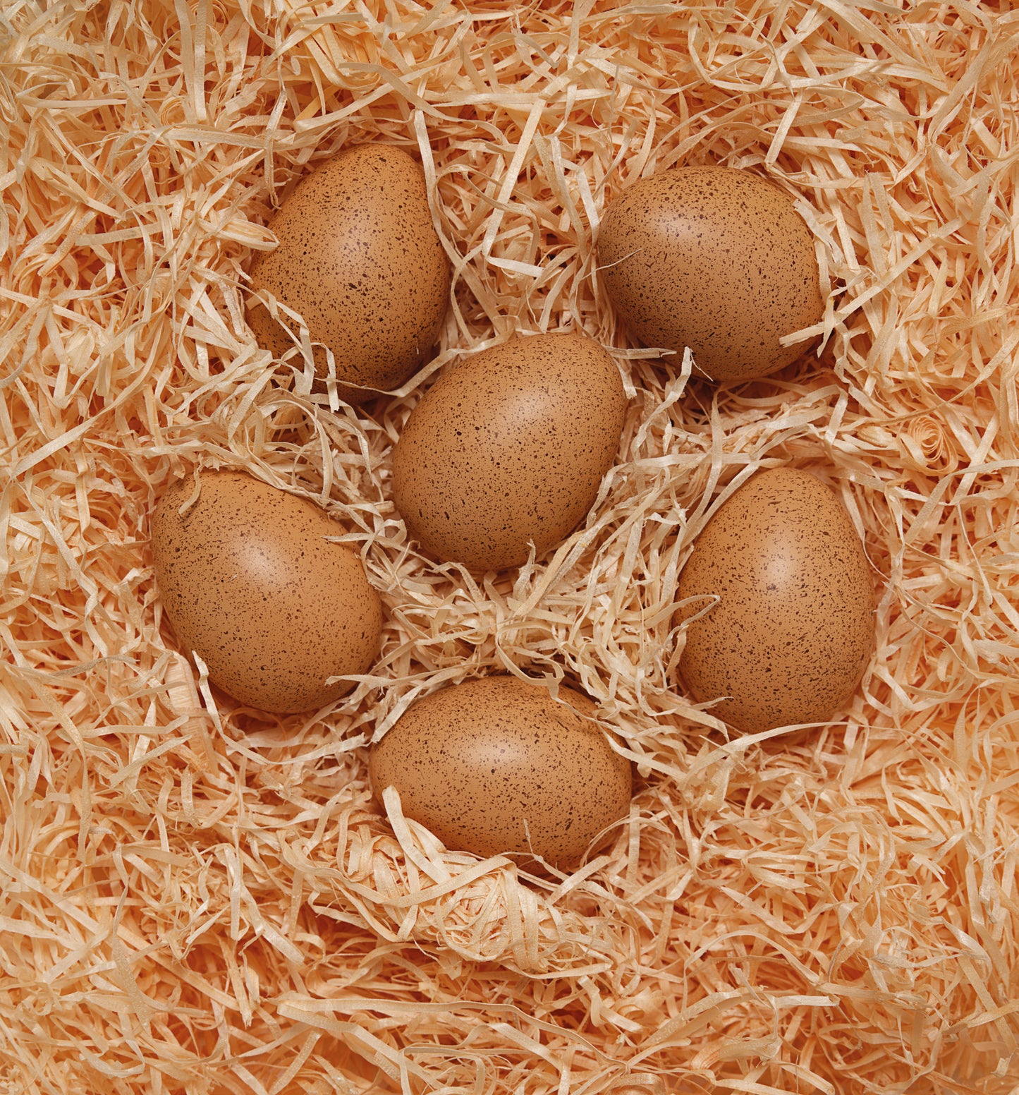 Sensory Sound Eggs Sensory Toy