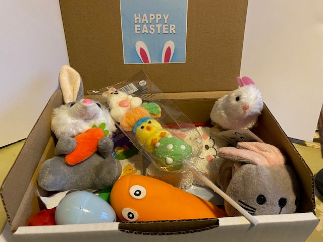 Easter Sensory Boxes (Rabbit & Chicken)